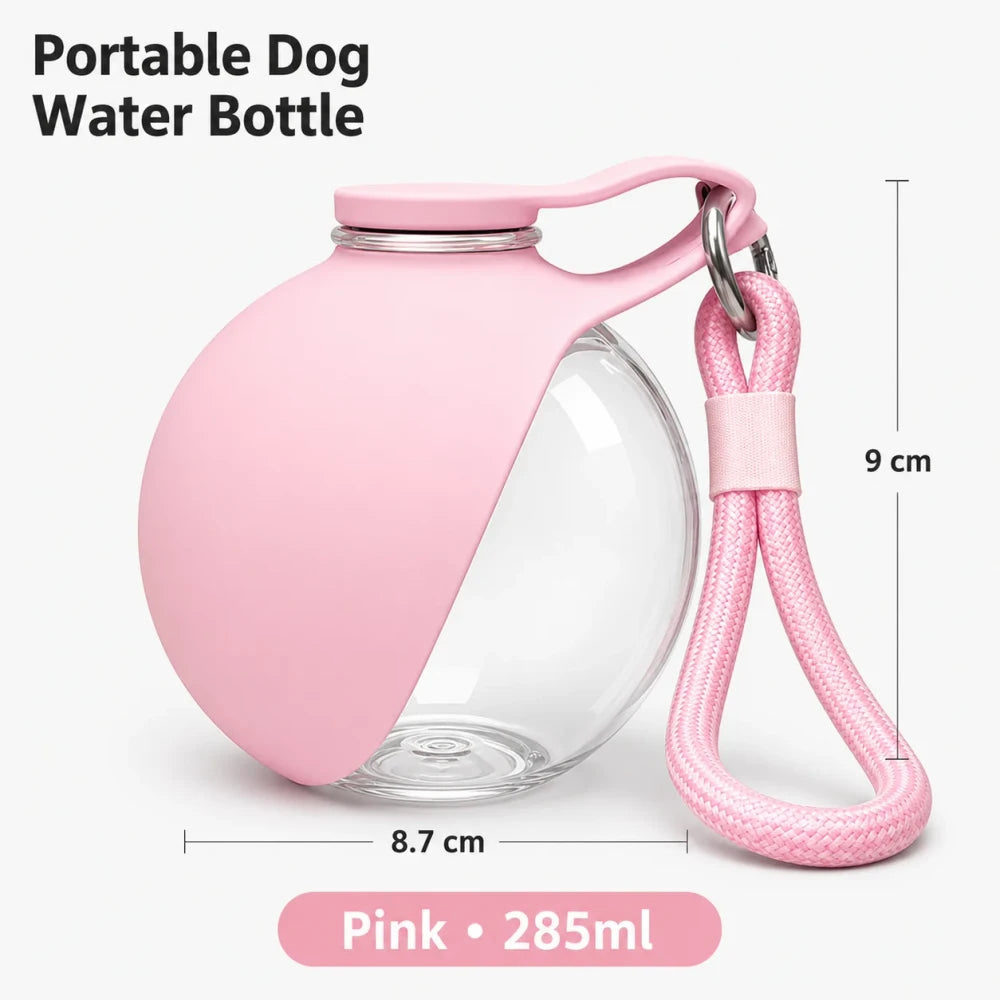Leak-Proof Stainless Steel Dog Water Bottle