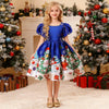 Snowflake Christmas Party Dress
